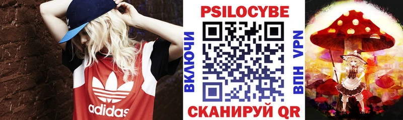 где продают   Мирный  Псилоцибиновые грибы Cubensis 