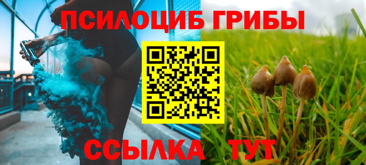 Мирный  Псилоцибиновые грибы мицелий  Галлюциногенные грибы Psilocybe  Вход с VPN 